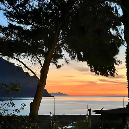 Willa Makar Seaview Macari